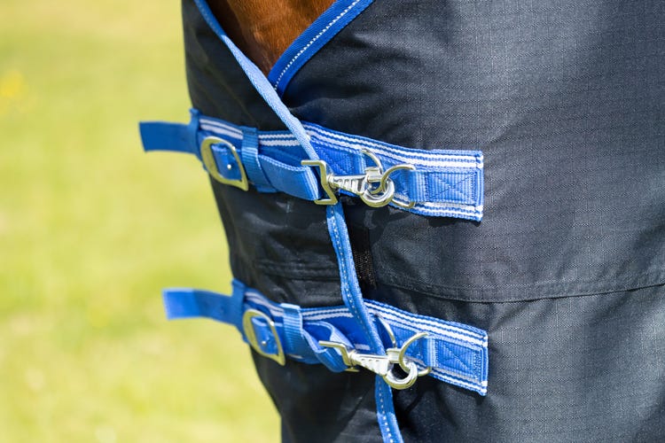 StormX Empra Reflect 0g Turnout Rug image 8